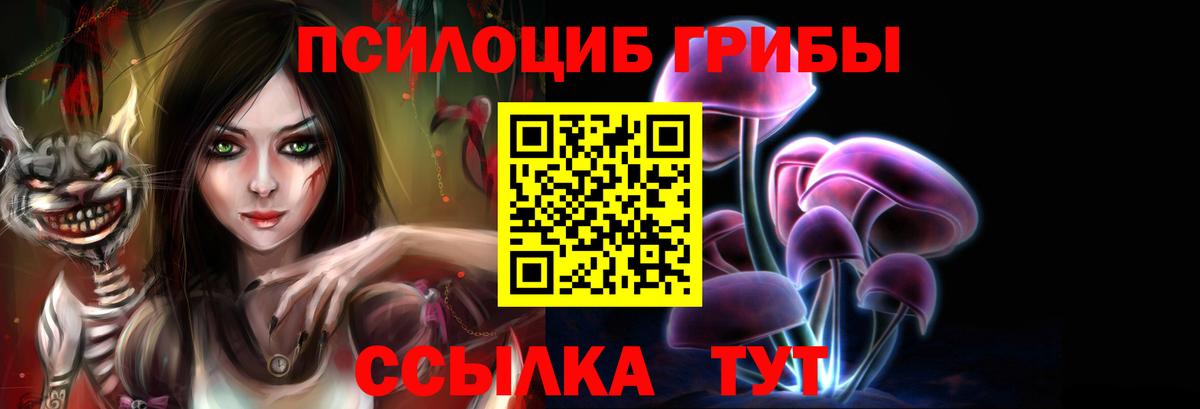 магазин продажи наркотиков  Псилоцибиновые грибы Cubensis  Вход с VPN  Тула 